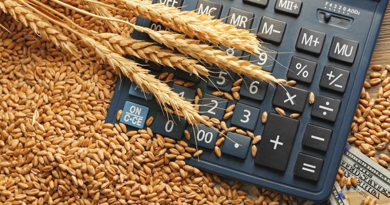 Grain prices on a record push?