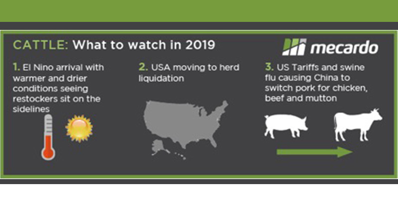 Cattle + Sheep – January 2019