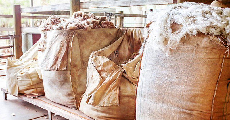 Wool market stays cool, calm and collected