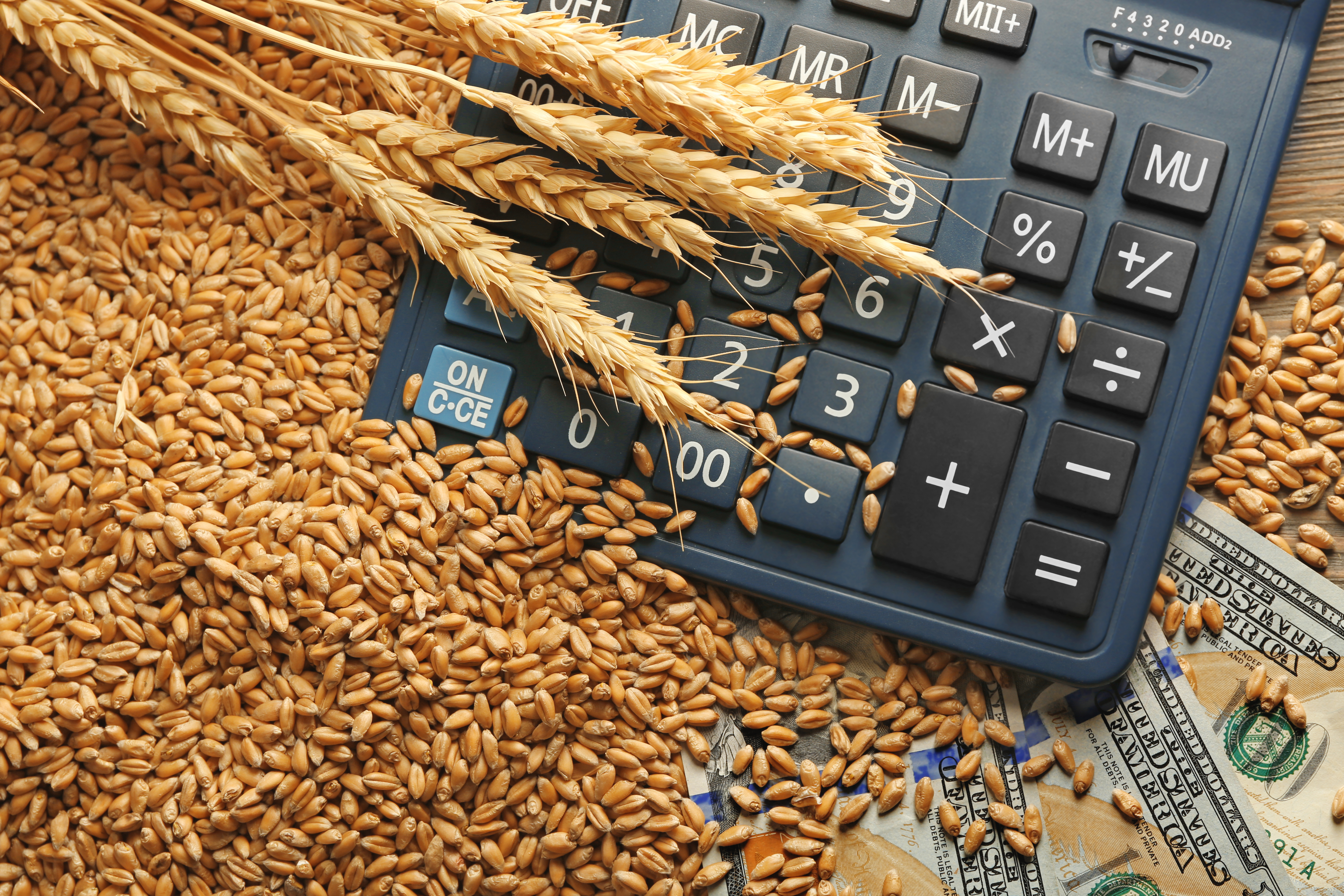 This is a landmark harvest, but we will get clarity soon. 1 This is a landmark harvest, but we will get clarity soon. 1