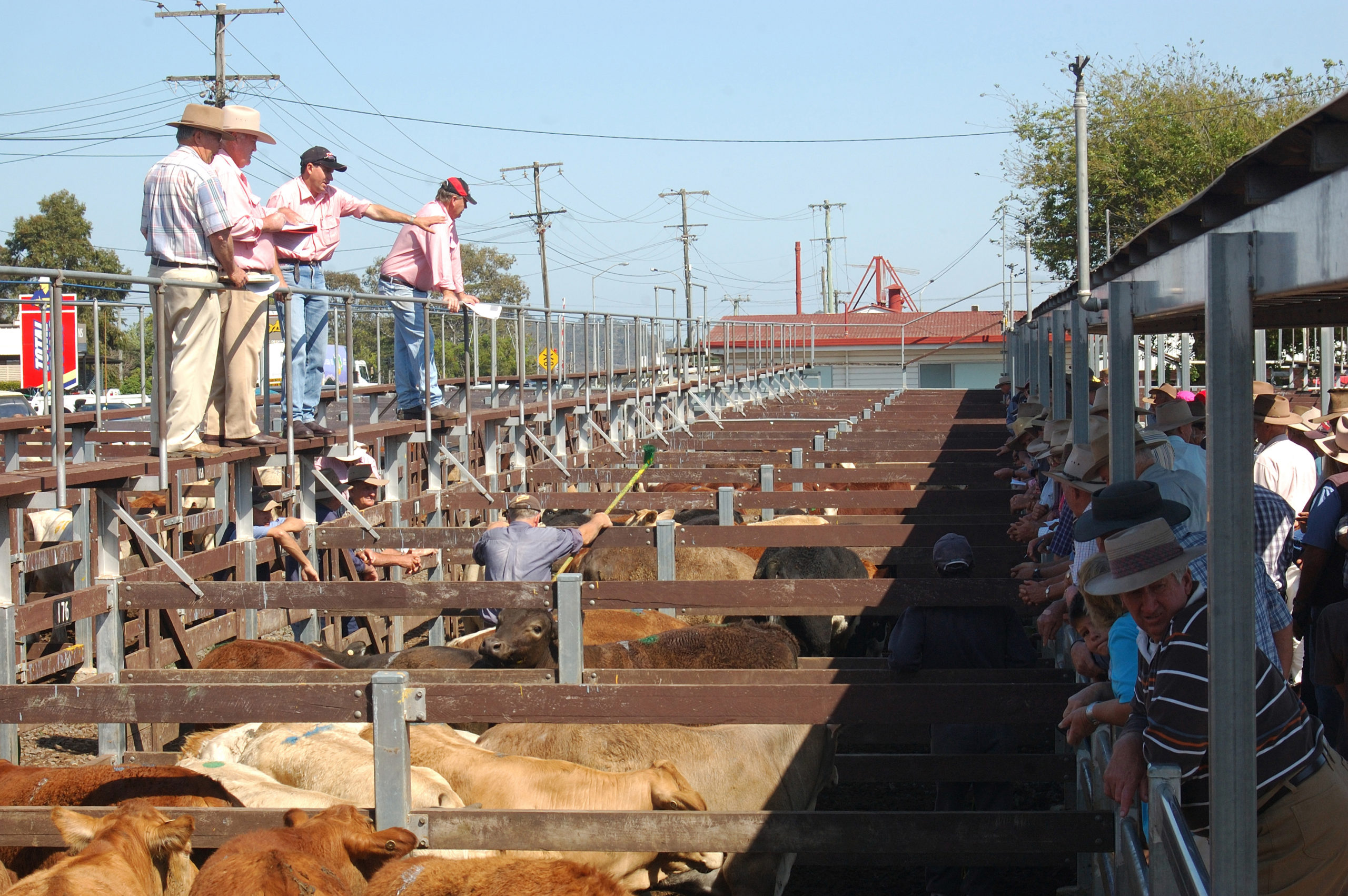 US turmoil creates a headwind for Aussie cattle