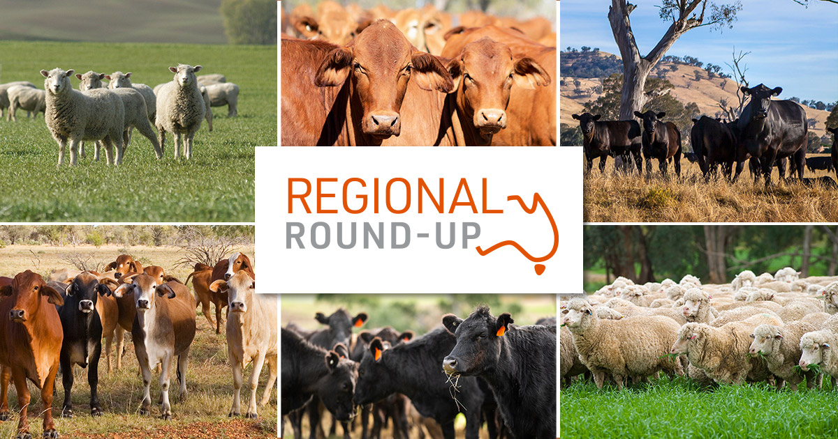 Regional Round-Up