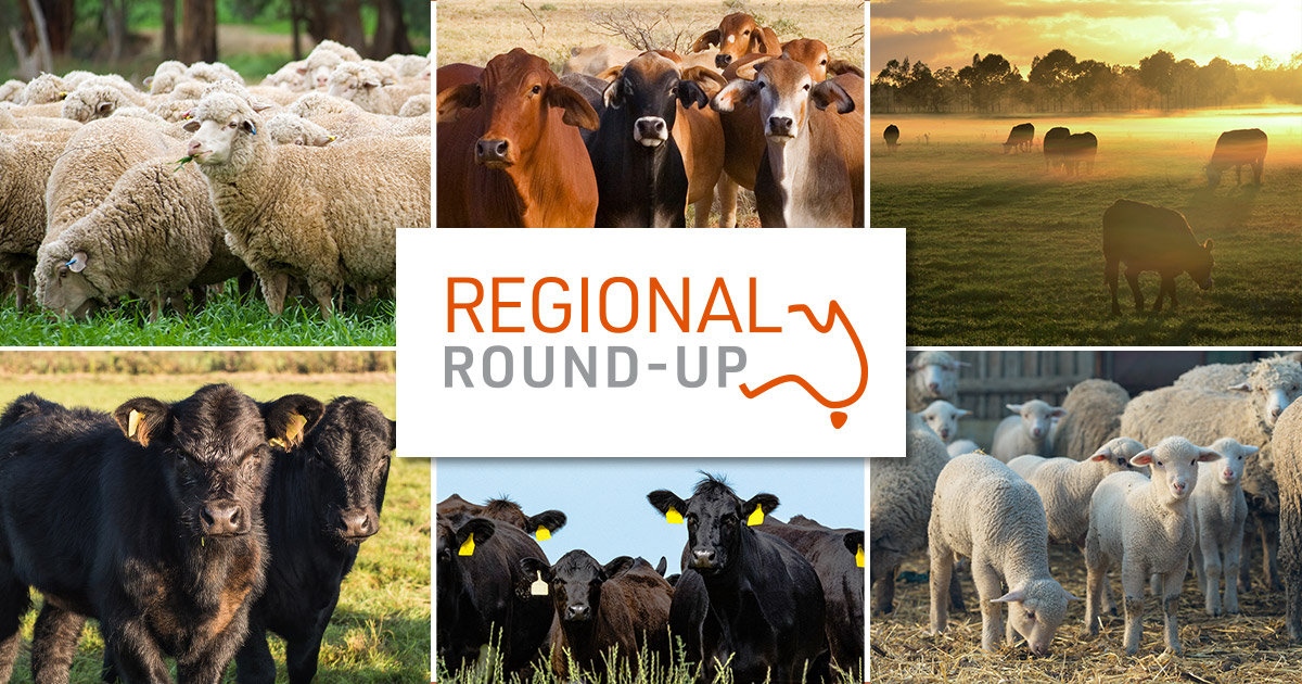 Regional-round-up-blog-march