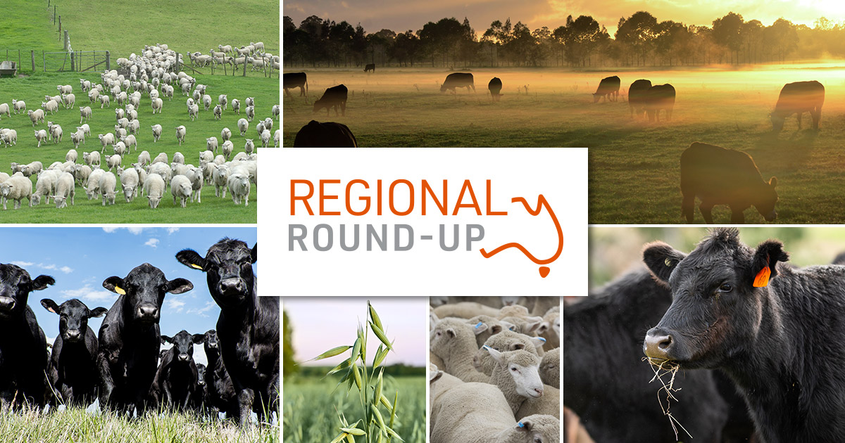 Regional Round-Up