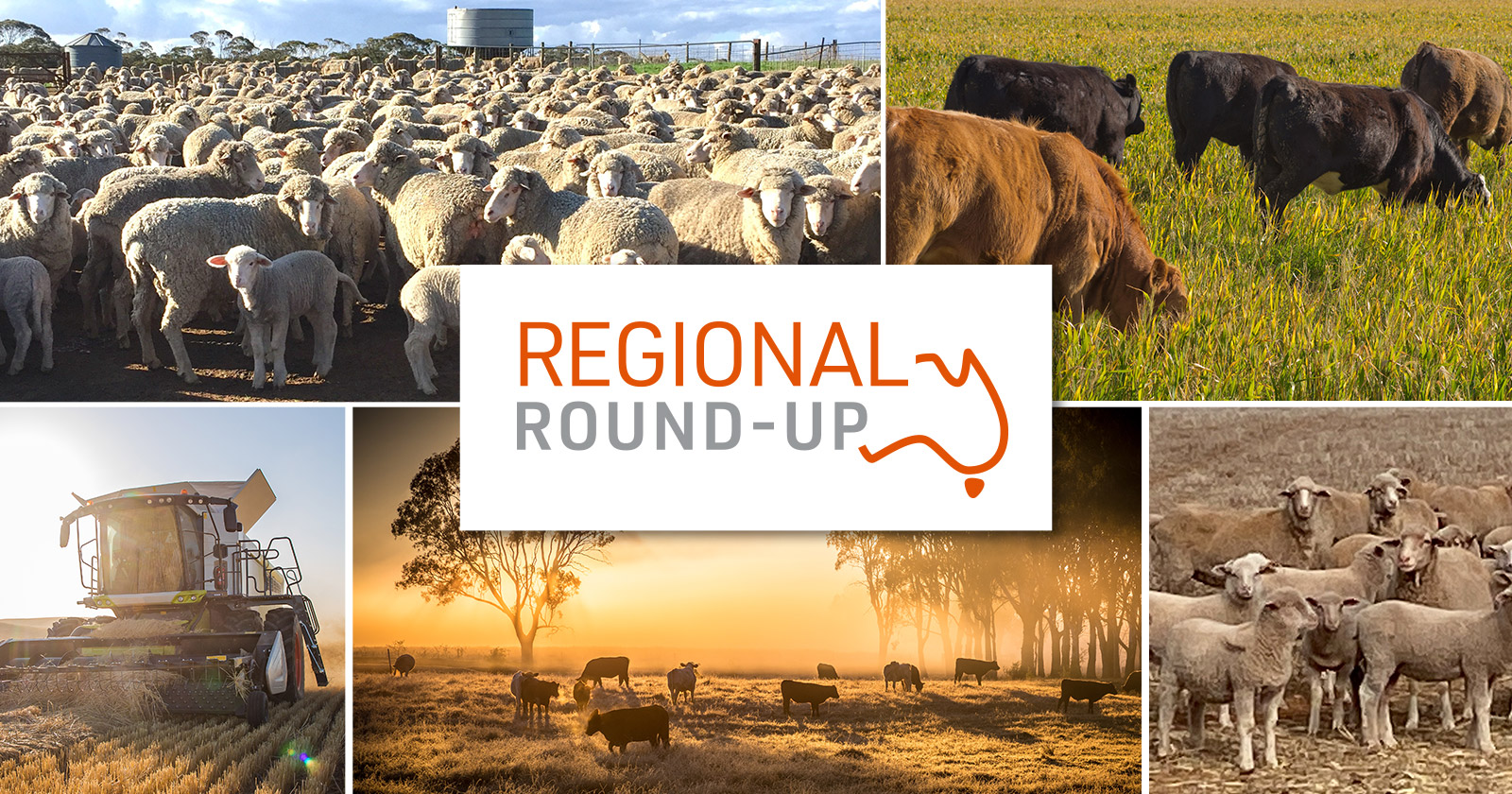 Regional Round-Up