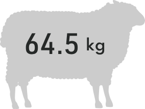 lamb 64.5kg