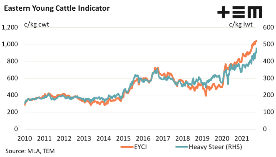 Eastern young cattle indicator