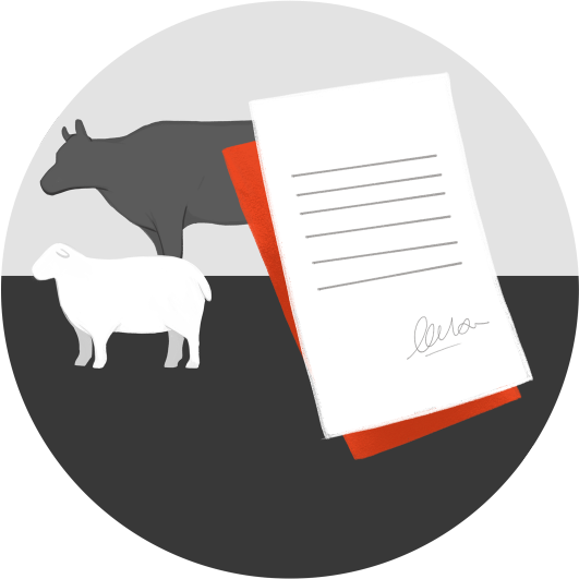cattle assessment