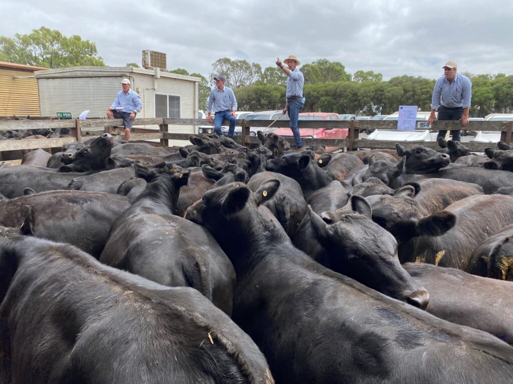 Market Update Hamilton Weaner Sale StockCo